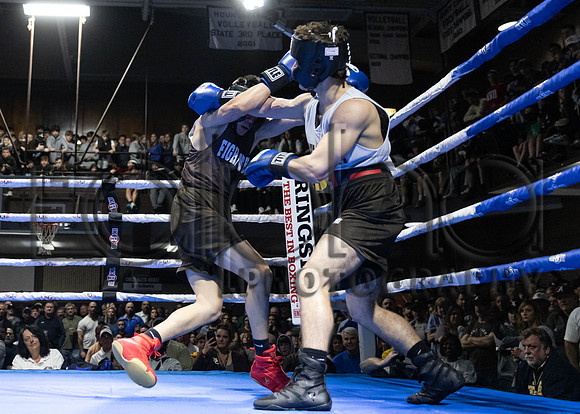 MC Fight Night