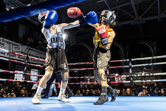 MC Fight Night 25-105014-8368-065000