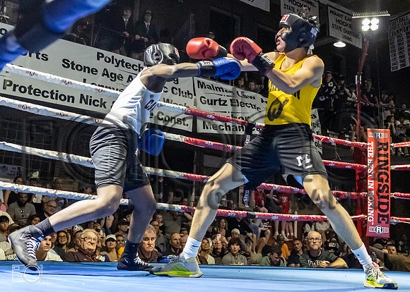 MC Fight Night 24-16264-3115-478300