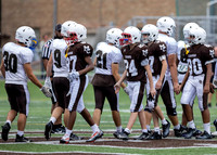 Brown-White Day_2022-439_10653329