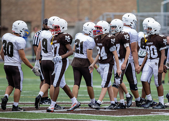 Brown-White Day_2022-439_10653329
