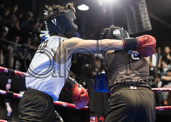 MC Fight Night
