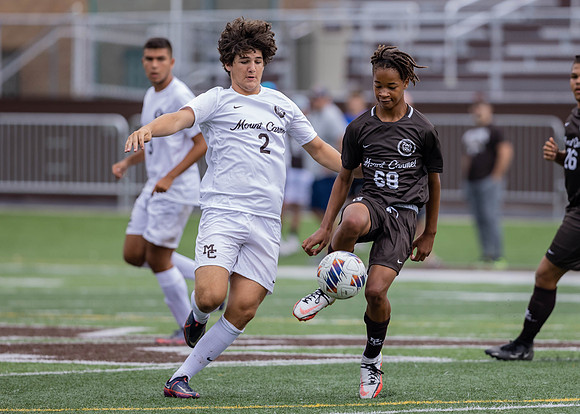 Brown-White Day_2022-443_10695293