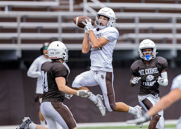 Brown-White Day_2022-607_12401671