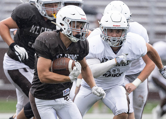 Brown-White Day_2022-740_13732173