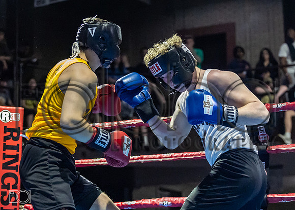 MC Fight Night 24-17279-2079-089900