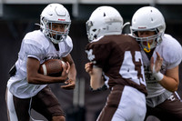 Brown-White Day_2022-378_10042612