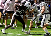 MC vs Fenwick-18913-4484-243700