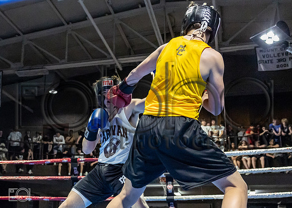 MC Fight Night 24-16001-2898-295700