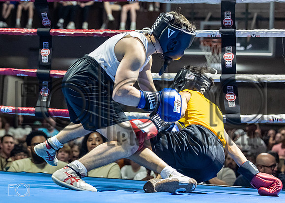 MC Fight Night 24-16513-1913-065400
