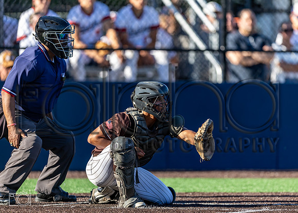 MC vs Morton_7519-4132