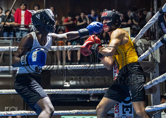 MC Fight Night 24-16393-1883-404700