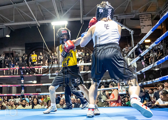 MC Fight Night 24-16670-3465-264700