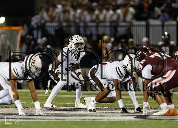 MC (V) vs Br RIce_20133-0530