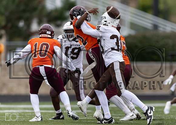 MC (FA) vs Br RIce_18759-9356