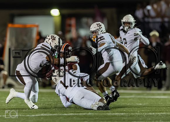 MC (V) vs Br RIce_20118-0515