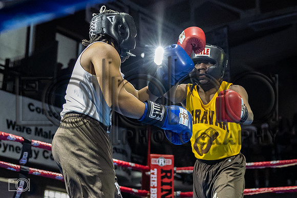 MC Fight Night 25-104383-7942-233600