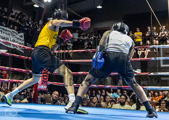 MC Fight Night 24-16266-3117-511900