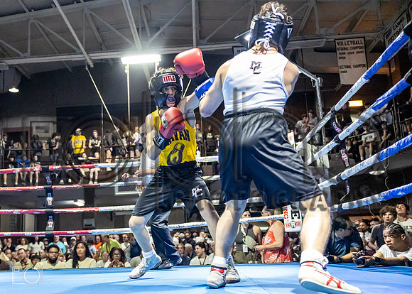 MC Fight Night 24-16671-3466-265900
