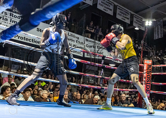 MC Fight Night 24-16262-3113-469500