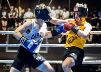 MC Fight Night 24-15971-1810-510800