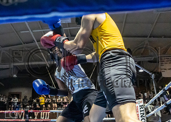 MC Fight Night 24-16463-3291-345900