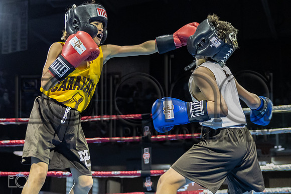 MC Fight Night 25-105082-8436-471000