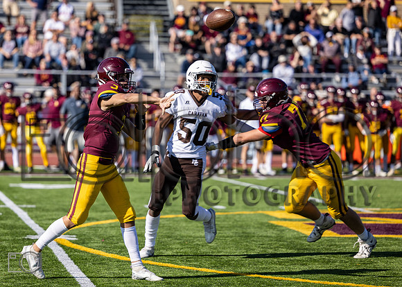 MC (F) v Loyola-25593_04021843