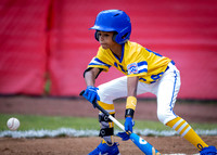 Jackie Robinson West Baseball