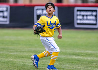 Jackie Robinson West Baseball