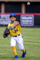 Jackie Robinson West Baseball