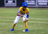 Jackie Robinson West Baseball