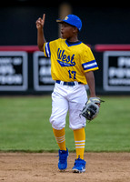 Jackie Robinson West Baseball