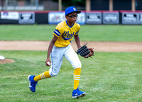 Jackie Robinson West Baseball