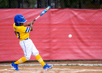 Jackie Robinson West Baseball