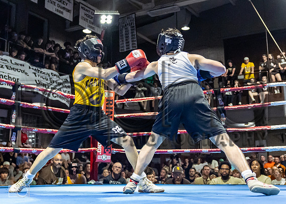 MC Fight Night 24-16577-3372-221000