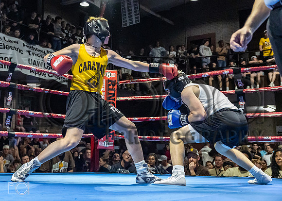 MC Fight Night 24-16064-2961-377700