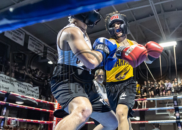 MC Fight Night 24-16542-3337-071000
