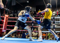 MC Fight Night 24-16010-2907-376100