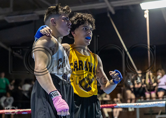 MC Fight Night 24-16813-3598-208700