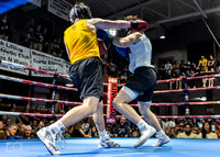MC Fight Night 24-16016-2913-540600