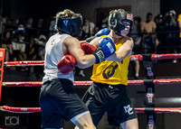 MC Fight Night 24-15967-1806-483100