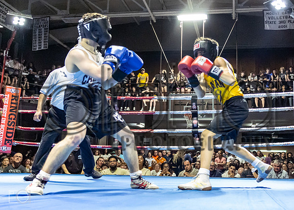 MC Fight Night 24-16532-3330-432600