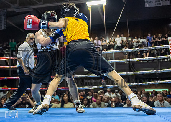 MC Fight Night 24-16648-3443-534800