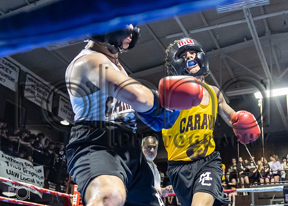 MC Fight Night 24-16541-3336-069700