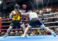 MC Fight Night 24-16040-2937-089500