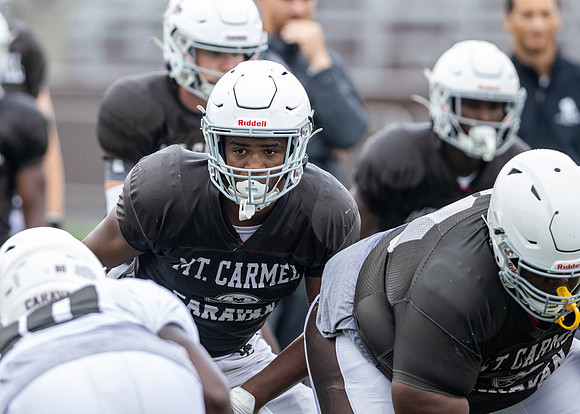 Brown-White Day_2022-565_11981785