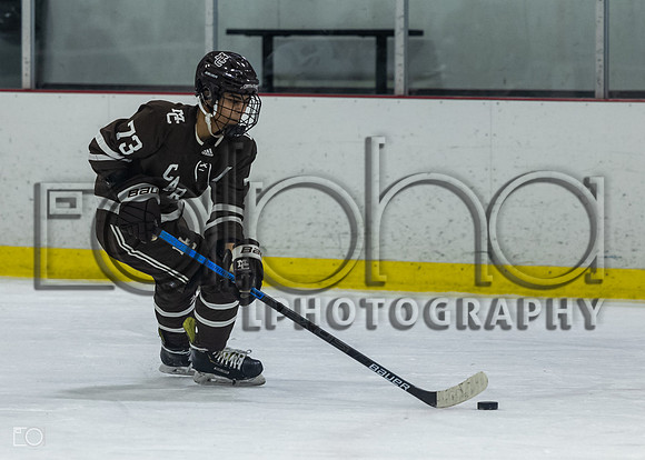 MC_Hockey_Fenwick-61913883-339