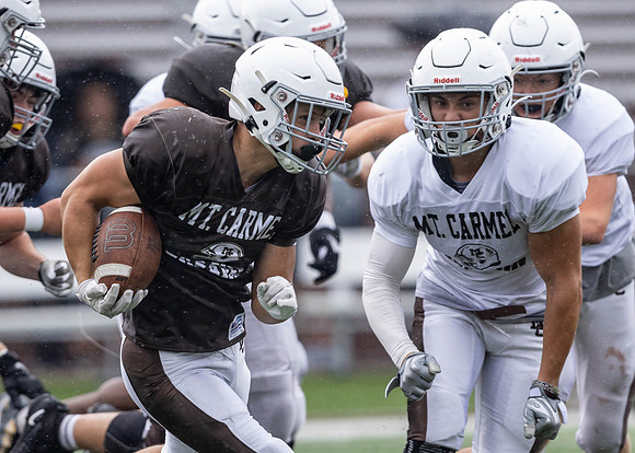Brown-White Day_2022-739_13722157