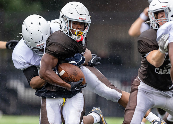 Brown-White Day_2022-734_13670611